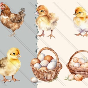 24 Watercolor Chicken Clipart Bundle - Cute Flower Chicken and Chicks ...