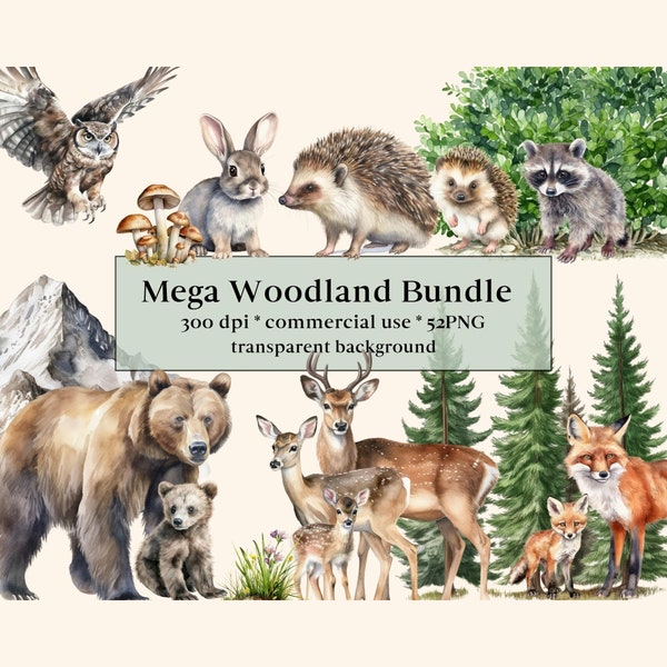 52 Waldtiere Clipart Aquarell Bundle, kommerzielle Nutzung, transparente PNGs, Kinderzimmer Clipart, Fuchs, Bär, Hirsch, Igel, Waschbär, Eule