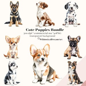 40 Acquerello Carino Cuccioli Clipart PNG Bundle, Animale Bambino, Cucciolo Cane Clipart PNG Carino Razza Illustrazione, Animale Domestico Clipart Fai Da Te, Uso Commerciale