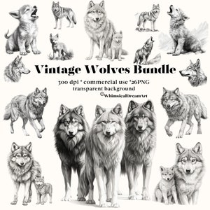26 Vintage Wolf PNG Sammlung, Aquarell Wolves Pack, Wolf Rudel, Clipart-Grafiken im PNG-Format für die kommerzielle Nutzung, Wolf Pup, Baby animal
