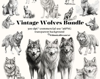 May include: A digital download of 26 vintage wolf illustrations in black and white. The wolves are drawn in a realistic style and are perfect for use in digital scrapbooking, card making, and other creative projects. The images are 300 dpi and have a transparent background.