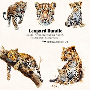 May include: Watercolor leopard bundle featuring five illustrations of leopards in various poses. The images include a running leopard, a leopard's face, a leopard cub, a leopard resting on a branch, and a leopard with its cub. The text "Leopard Bundle" is included.