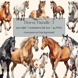 24 Pferd PNG Sammlung | Pferd Clipart-Set | Aquarell Pferd Sublimationsdesigns | Western Clipart | Bauernhof Tiere PNG | Clipart-Bundle