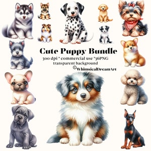 36 Aquarell niedlicher Welpe Clipart Set, Hund PNG-Bundle, Aquarellbilder, sofortiger Download & kommerzielle Nutzung, Corgis, Retriever, Bulldogge, Husky