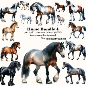 60 Pferde-PNG-Sammlung, Pferde-Clipart-Set, Aquarell-Baby-Pferd-Sublimationsdesigns, Western-Clipart, Nutztiere PNG, Clipart-Bundle