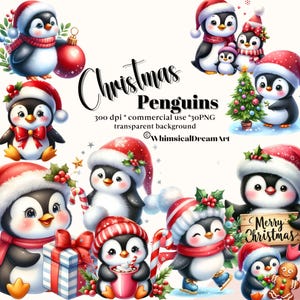 30 süsser Weihnachts Pinguin Clipart Set, Winter Pinguin Clipart, Baby Tier mit Weihnachtsmütze, Weihnachts Clipart, Weihnachtskarten & Sublimationskarten