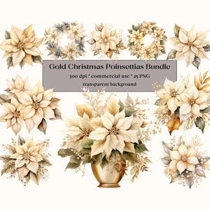 25 Gold Weihnachtssterne PNG Sammlung, Clipart-Set, Aquarell Sublimation Designs, gemütliche Weihnachten, Pastellfarbe Weihnachten, Urlaub Clipart