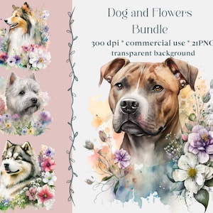21 Aquarell Hund Clipart-Set, Hund PNG-Bundle, Blumenhund, Aquarellbilder, sofortiger Download und kommerzielle Nutzung, Corgis, Retriever, Bulldogge