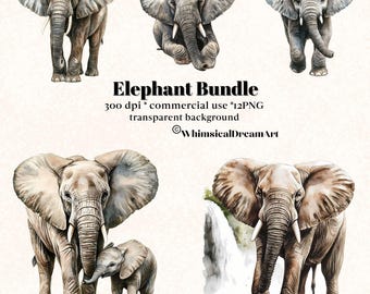 12 Aquarell Elefant Tiersammlung Clipart, PNG realistische Tier Clipart, niedliches Tier, Tier Bundle, kommerzielle Nutzung, Safari, Savannah
