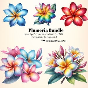 12 acquerello carino Plumeria Collection Clipart, fiori estivi PNG, fiore di Plumeria primaverile, fiori tropicali luminosi PNG, licenza commerciale
