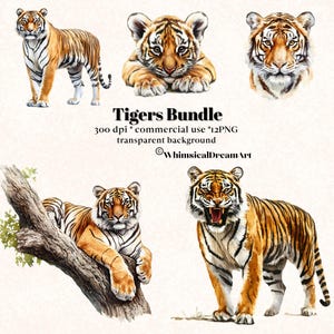 12 cliparts Collection animaux aquarelle tigre, PNG Clipart animaux réalistes, animal mignon, lot d'animaux, usage Commercial, Safari, savane