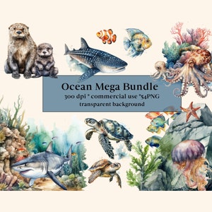 54 clipart de criaturas marinhas em aquarela, PNG, vida marinha, arte de parede, tartaruga, polvo, golfinho, tubarão, baleia, animais fofos do oceano, uso comercial