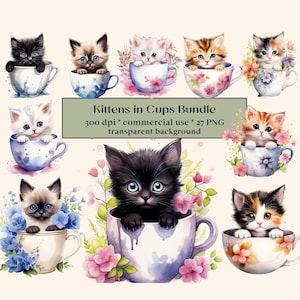 27 gattini in tazze da tè Clipart Bundle, pacchetto gatti acquerello, clipart gattino, clipart animali, png animale, clipart tazza da tè vintage, animale domestico carino