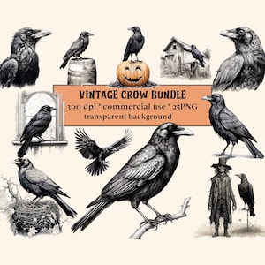 25 cliparts vintage corbeau, aquarelle fantastique, corbeaux d'Halloween, téléchargement immédiat de graphiques PNG, oiseau mignon PNG, oiseau antique, sorcière familière