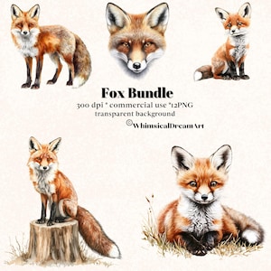 12 cliparts collection animaux renard aquarelle, PNG clipart animaux réalistes, animal mignon, lot d'animaux, usage commercial, forêt, forêt