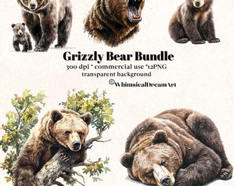 12 Watercolor Grizzly Bear Animal Collection Clipart, PNG Realistic Animals Clipart, Cute Animal, Animal Bundle, Commercial Use, Forest, Cub