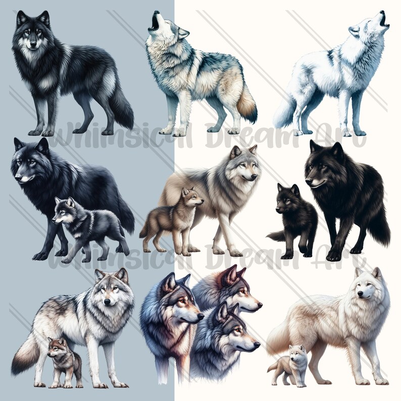 46 Wolf PNG Collection , Watercolor Wolves Pack, Wolf Pack, Wolf ...