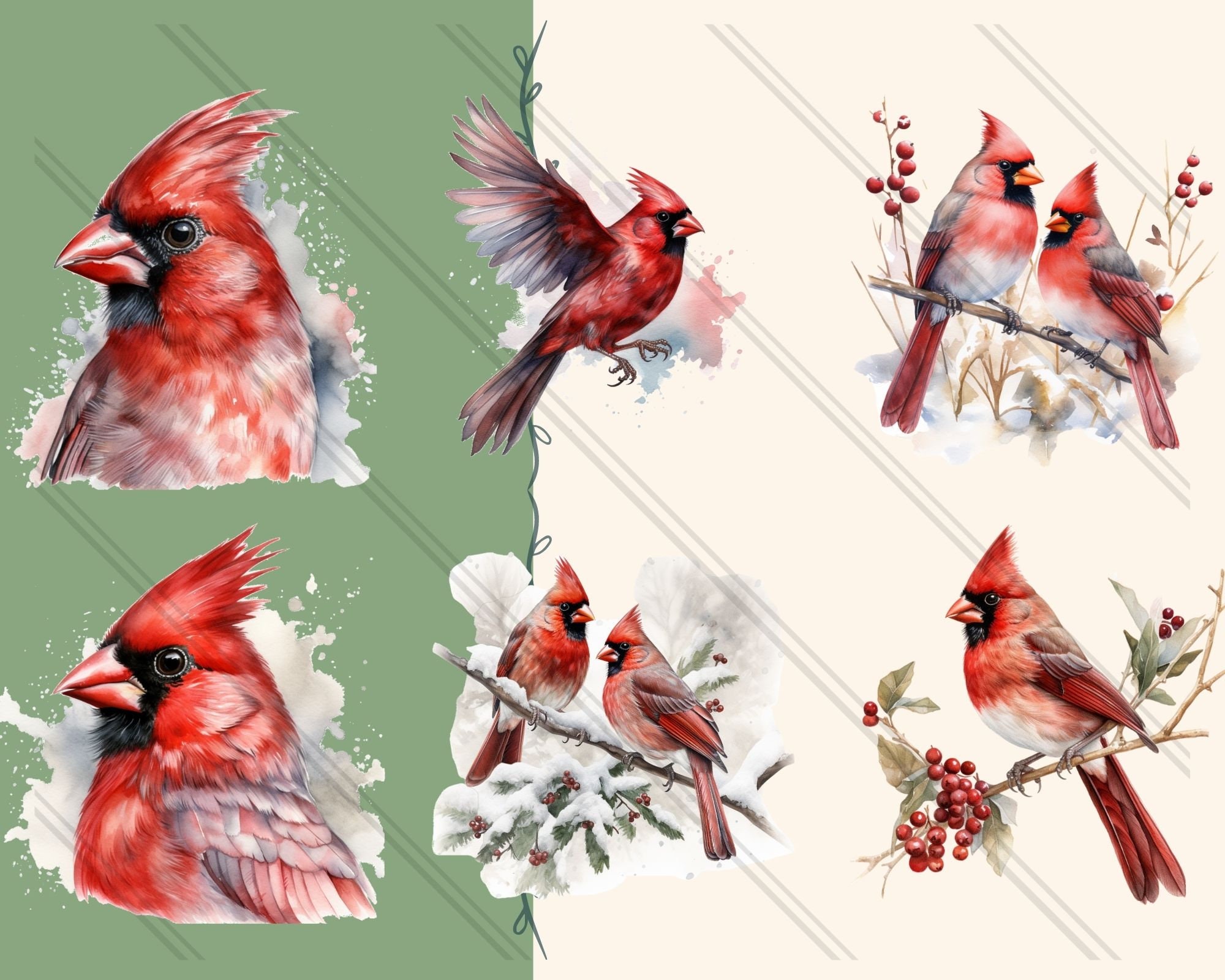 24 Cardinal rouge PNG Oiseau cardinal rouge Clipart - Etsy Canada