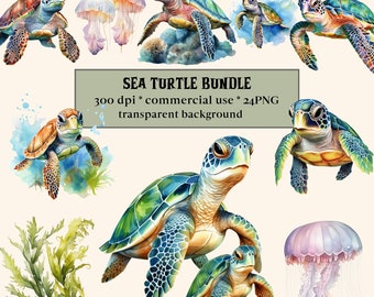 24 akwarelowe żółwie morskie Clipart, urocze morskie zwierzęta oceaniczne PNG clipart grafika natychmiastowe pobieranie do użytku komercyjnego, małe dzikie zwierzęta