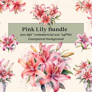 24 Clipart de lírio tigre rosa aquarela - lírios, molduras florais primavera, formato PNG, pacote de clip art, ilustrações de primavera, floral colorido