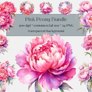 24 Akwarela Różowa Peonia Clipart - peonie w PNG, Kwiatowy clipart, Cyfrowa akwarela, komercyjne zastosowanie, scrapbooking, Zieleń, Roślina domowa