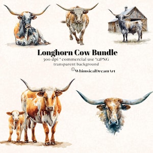12 Watercolor Longhorn Cow Animal Collection Clipart, PNG Realistic Animals Clipart, Cute Animal, Animal Bundle, Commercial Use, Farm