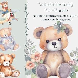 21 aquarel teddybeer clipart, aquarel baby shower clipart, blauw roze teddybeer clipart, vintage teddybeer, schattige teddy clipart