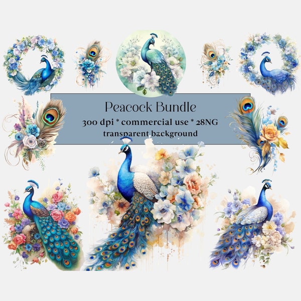 28  Watercolor Peacocks Clipart, Aquarelle fantasy, Peacock feather clip art, PNG graphics instant download, Cute Bird PNG, Colorful Bird