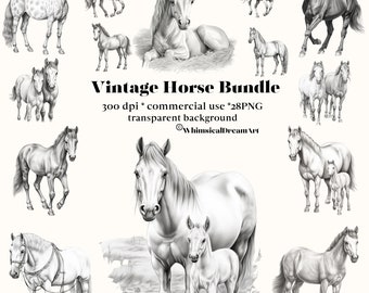 28 Vintage Horse PNG Collection, Horse Clipart Set, Watercolor Horse Sublimation Designs, Western Clipart, Farm Animals, Clipart Bundle