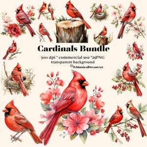25 Red Cardinal Clipart Bundle, Winter Bird Aquarelle, Deux oiseaux PNG, Oiseaux sur des branches enneigées Graphics, Christmas Cardinal Téléchargement numérique
