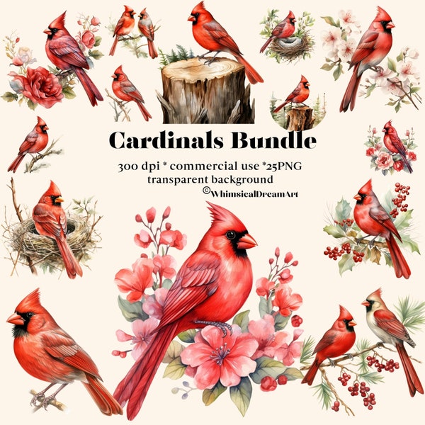 25 Red Cardinal Clipart Bundle, Winter Bird Watercolor, Two Birds PNG, Birds on Snowy Branches Graphics, Christmas Cardinal Digital Download