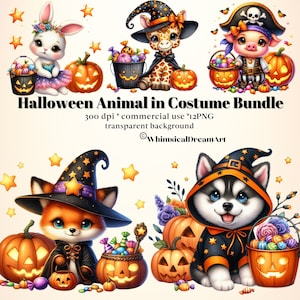 12 imágenes prediseñadas de la colección de animales de Halloween lindo acuarela, imágenes prediseñadas de Halloween, imágenes prediseñadas de animales lindos de Halloween, paquete PNG de animales, uso comercial