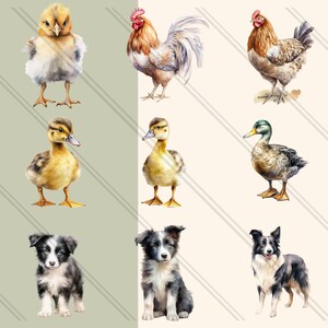 52 Watercolor Farm Animal Clipart - Cute Chickens, Chicks, Horses, Cows ...