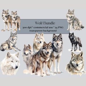 24 Wolf PNG collectie, aquarel wolven Pack, Wolf Pack, Wolf clipart-afbeeldingen in PNG-formaat voor commercieel gebruik, Wolf Pup, baby dier