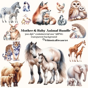 28 Coleção PNG de animais de mãe e bebê, animais de bebê, animais fofos PNG, animais da floresta, clipart de chá de bebê, bebês da floresta, mamãe, safari