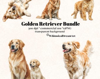 12 imágenes prediseñadas de golden retriever en acuarela con fondo transparente, paquete de imágenes prediseñadas, imágenes prediseñadas de perro, uso comercial, lindo cachorro realista