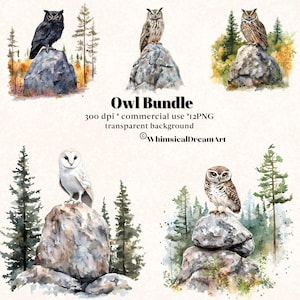 12 cliparts collection aquarelle hibou, PNG réalistes, motifs forestiers, hibou sur rocher des cliparts, lot d'animaux mignons, usage commercial, forêt