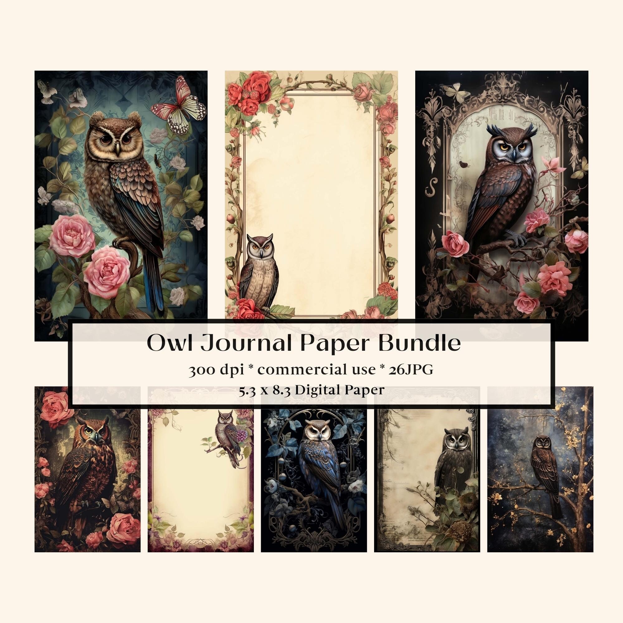 26 Romantic Owl Digital Paper, Distressed background, Mystical Witch Digital backdrop, Fantasy Backd