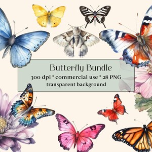 28 Schmetterling Clipart | Aquarell Monarchfalter PNG | Blumen Clipart | Sommer Clipart | Schmetterling Malerei | Mottenbilder | Blumen Frühling