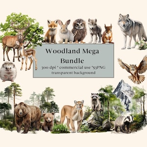 53 Pacote de aquarela de clipart de animais da floresta, uso comercial, PNGs transparentes, clipart de berçário, raposa, urso, veado, ouriço, guaxinim, coruja