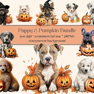28 Watercolour Halloween Dog Clipart Jack O Lantern, Halloween Cute Design, Pumpkins, Autumn, PNG, Witch, Scary, Fall, Puppy, Pug, Poodle