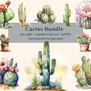 24 imágenes prediseñadas de cactus de acuarela - cactus del desierto, flora del desierto, flores suculentas, descarga instantánea en formato PNG, diseños florales, cascada, bosque
