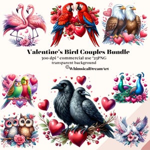 23 parejas románticas de pájaros para San Valentín, imágenes prediseñadas de agapornis para el día de San Valentín, sublimación PNG de San Valentín, decoración de guardería, fondo transparente