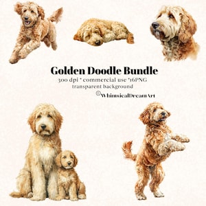 Puede incluir: Un paquete de arte digital con ilustraciones de perros Golden Doodle en varias poses. Los perros están representados en tonos de beige y crema, con pelaje esponjoso. El texto "Golden Doodle Bundle" se muestra encima de las imágenes.