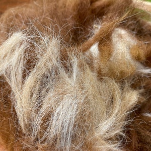 Raw alpaca bird nesting fiber