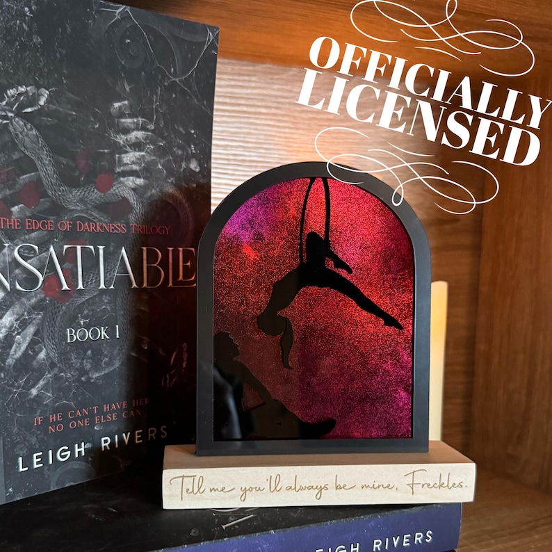 May include: A black metal frame with a red and pink glitter background. Inside the frame is a silhouette of a person hanging from a hoop. The frame is sitting on a wooden shelf with a book titled "Insatiable" in front of it. The text "Tell me you'll always be mine, Freckles." is written on the shelf.