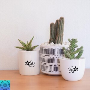 Pu&ograve; includere: Tre piante in vaso: un cactus, aloe vera e una piccola succulenta. I vasi bianchi hanno disegni floreali neri. Il cactus &egrave; in un vaso con motivi bianchi e neri. Le piante sono su una superficie di legno contro un muro bianco.
