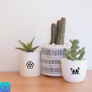 May include: Three white ceramic planters with succulents. One planter has a black paw print with a heart, another has a black and white geometric pattern, and the third has a black and white French bulldog graphic.