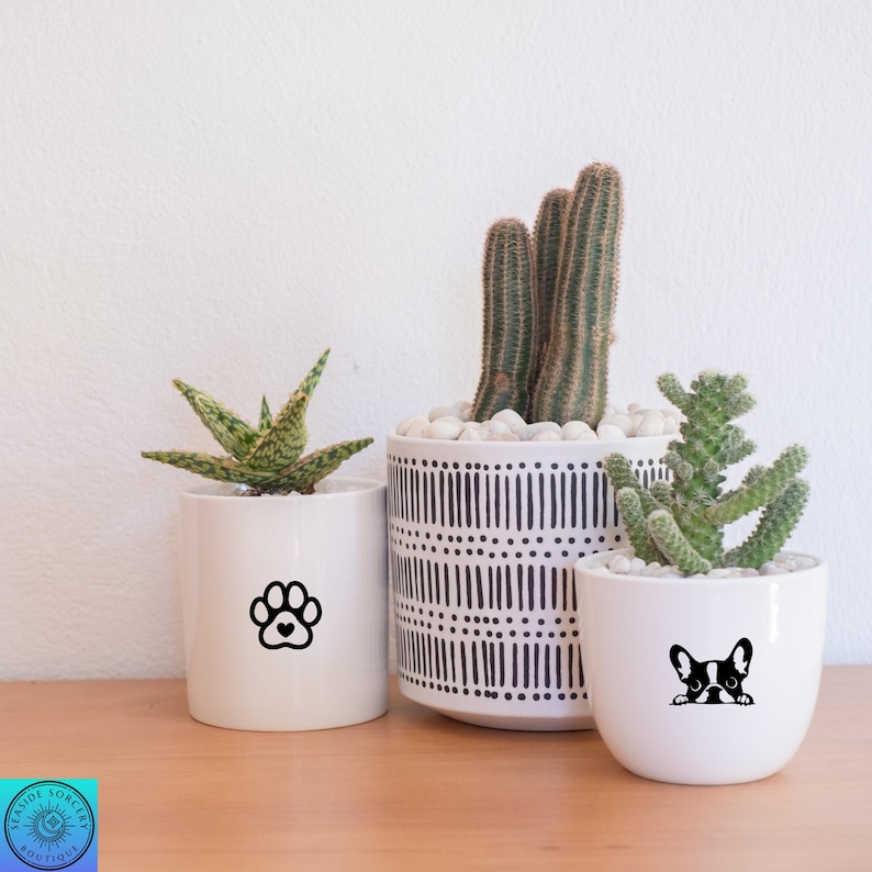 May include: Three white ceramic planters with succulents. One planter has a black paw print with a heart, another has a black and white geometric pattern, and the third has a black and white French bulldog graphic.