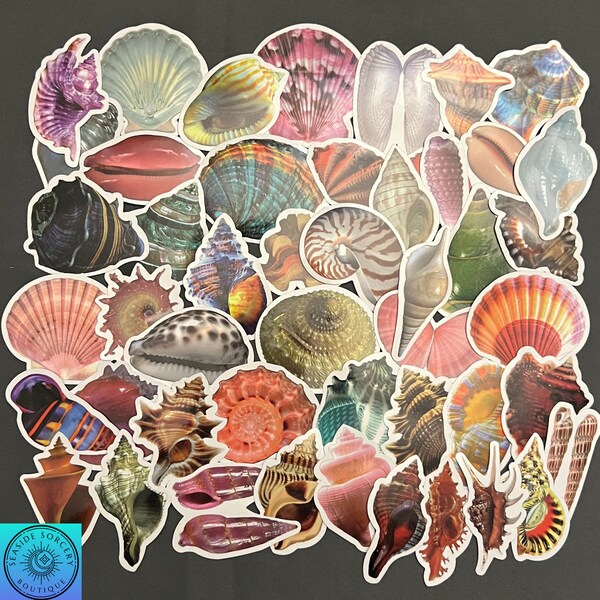 Seashell Stickers, Shell, Shelling, Shell Collector, Random Sticker Pack 10/20/50 Piece, NO REPEATS, Waterproof, UV Resistant, Free Shipping